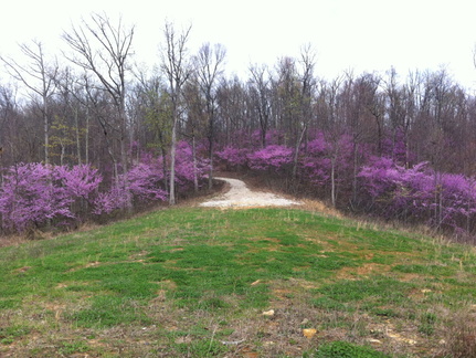 Lockegee Rock and Cave Run Lake